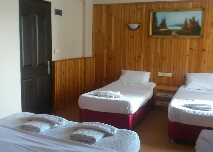 Efesian Отель типа 